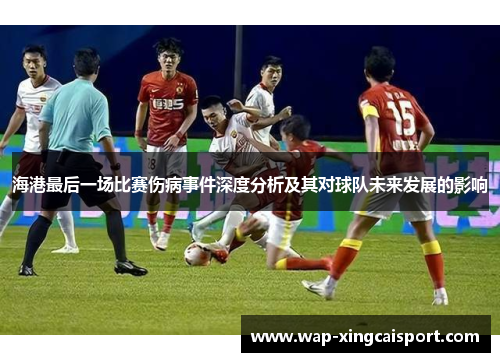海港最后一场比赛伤病事件深度分析及其对球队未来发展的影响