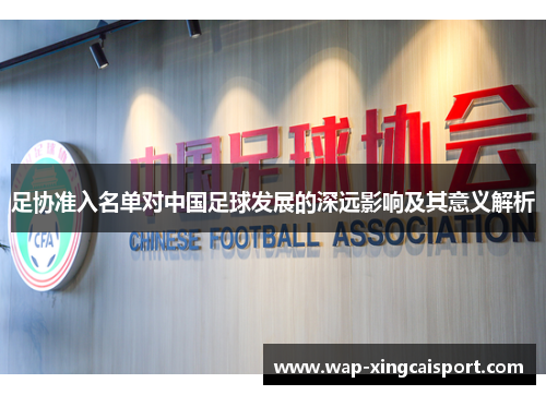 足协准入名单对中国足球发展的深远影响及其意义解析