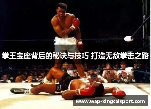 拳王宝座背后的秘诀与技巧 打造无敌拳击之路