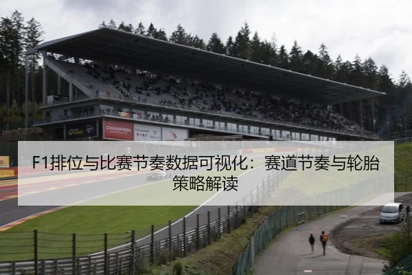 F1排位与比赛节奏数据可视化：赛道节奏与轮胎策略解读